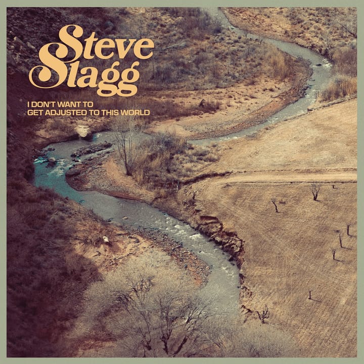 Steve Slagg -- I Don't Want to Get Adjusted to This World